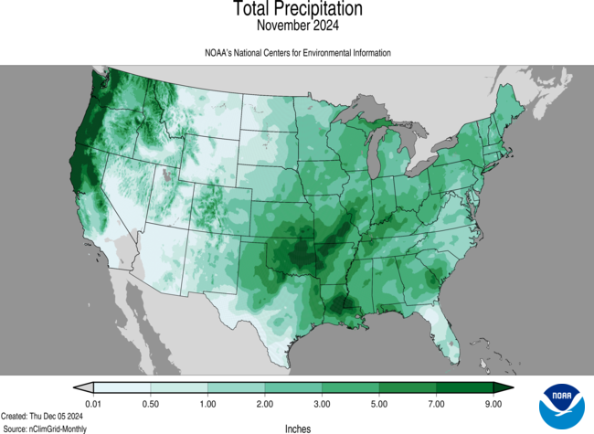 Precipitation November 2024