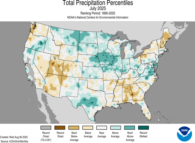 July 2025 precipitation percentiles