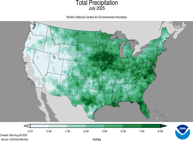 July 2025 total precip