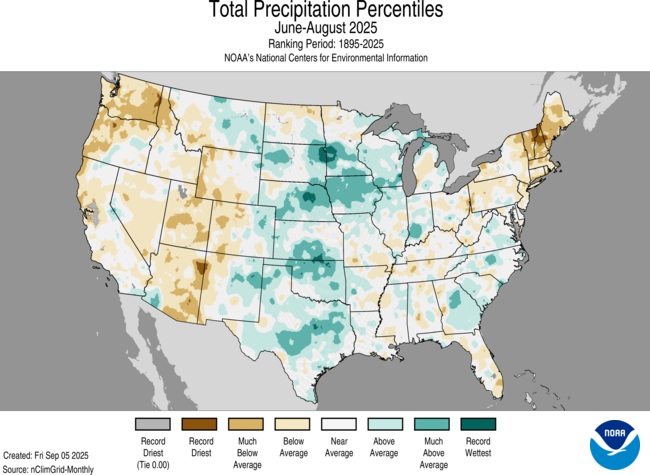 precip