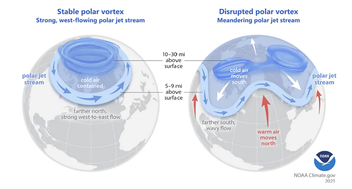Polar Vortex Mechanics