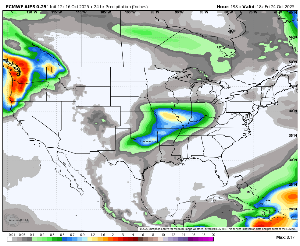 24-hour projected precipitation
