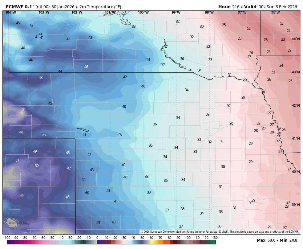 ECMWF forecast temperatures next Saturday late afternoon