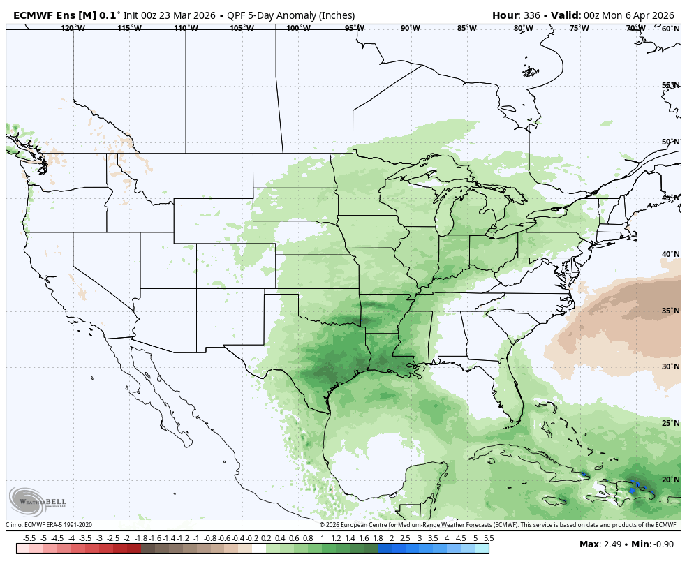 5-dauy precipitation anomalies