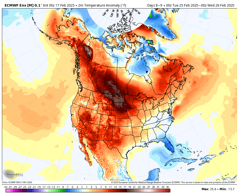 Temperature anomalies