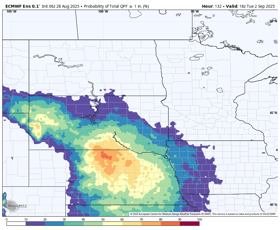 ECMWF 1" probability