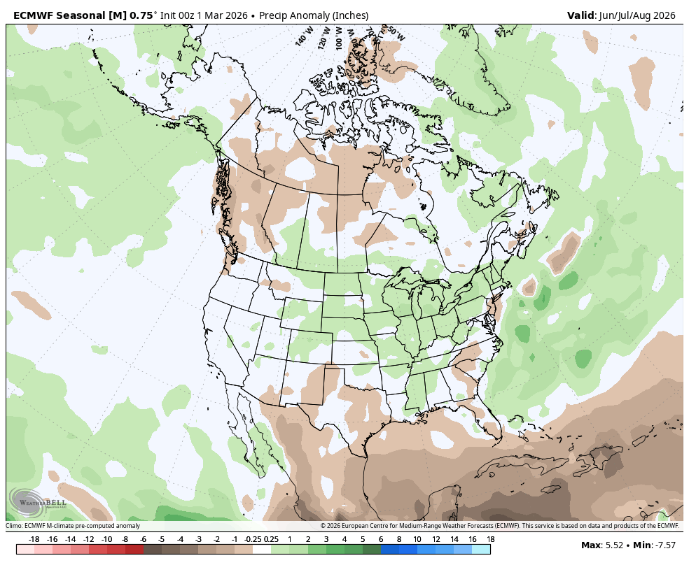 ECMWF projected summer precipitation anomalies
