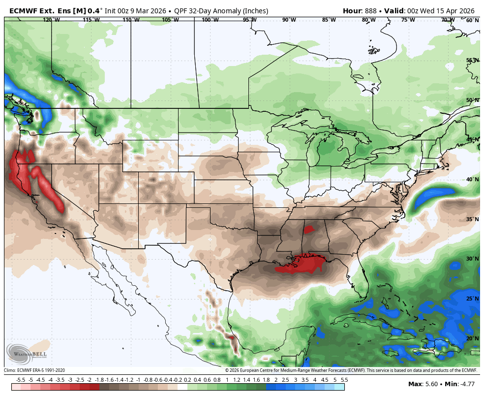 ecmwf weeklies of precipitation