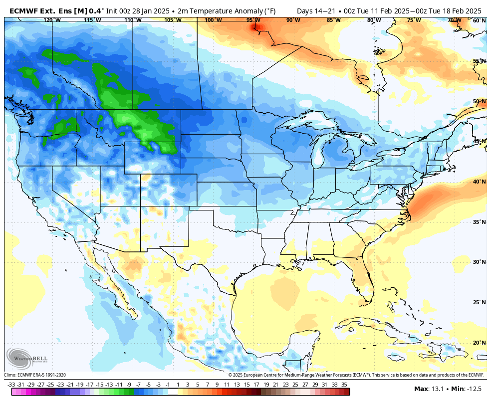 ECMWF extended temperature forecast