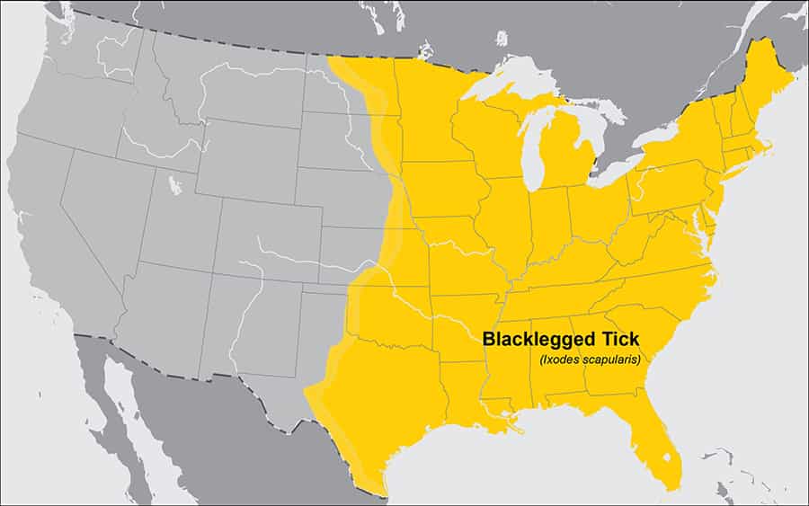 Map of the U.S. showing blacklegged tick range in yellow across the eastern half of the country.
