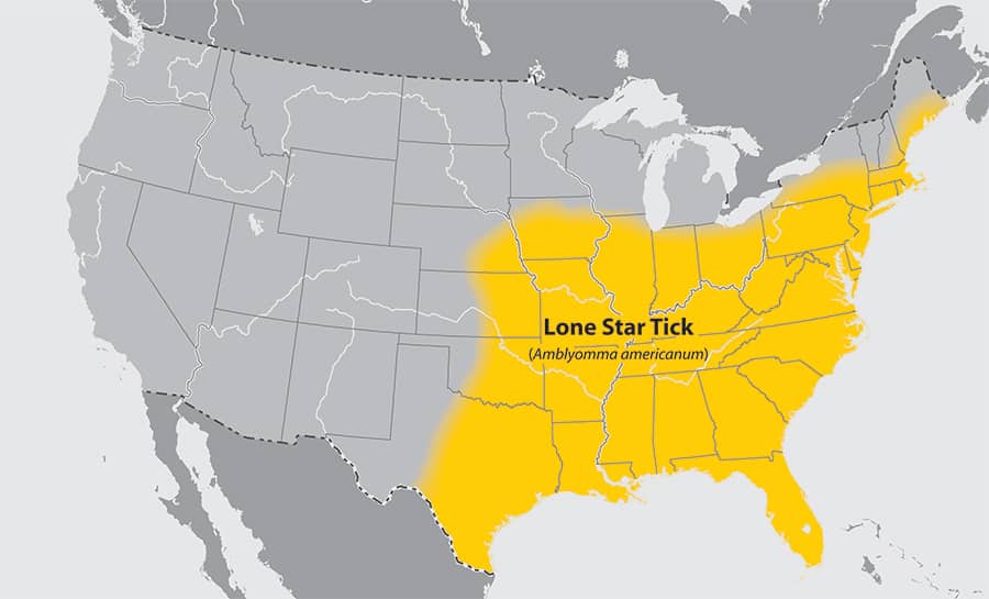 Yellow-highlighted range of Lone Star Tick across southeastern U.S. on a gray map.