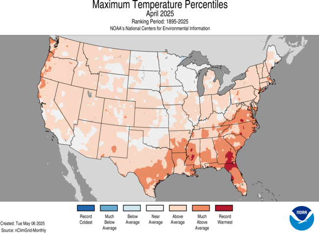 Maximum Temperature
