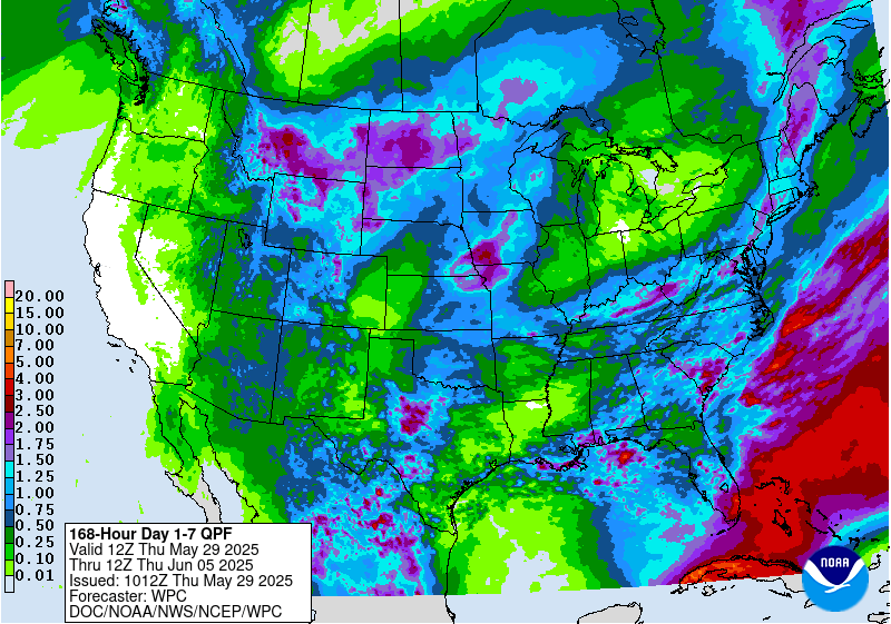 WPC 7-day