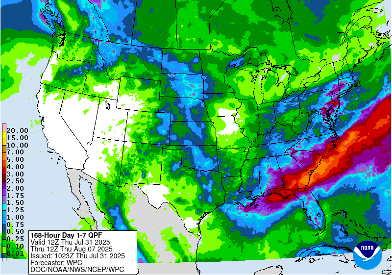 total precipitation
