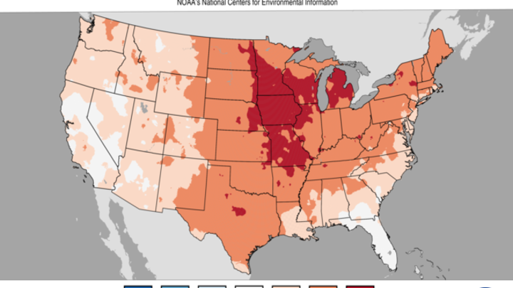 Temperature percentiles