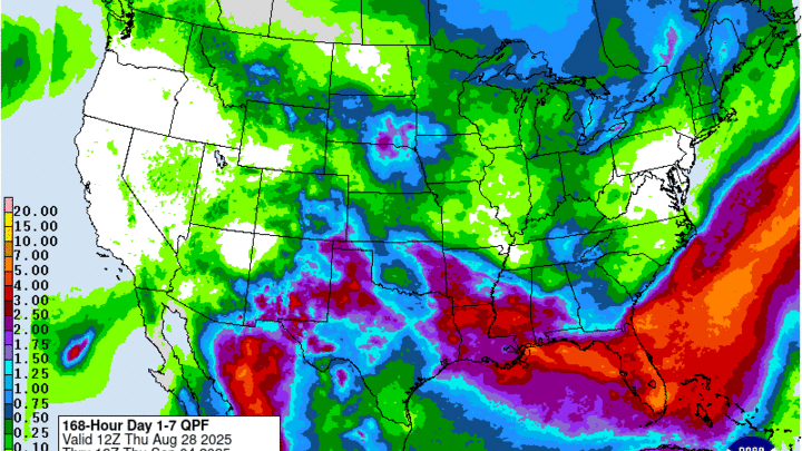 projected precipitation
