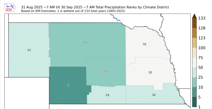 November Average Precipitation