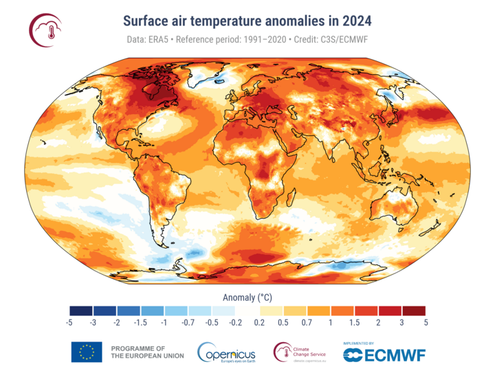 Global temperature anomalies in 2024