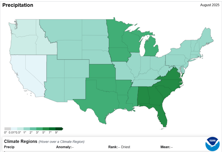 August Average Precipitation