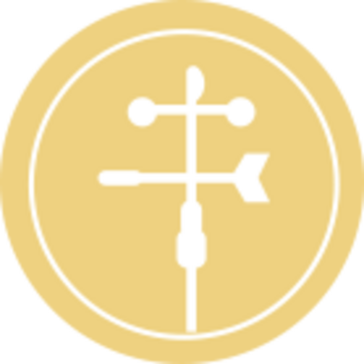 Weathervane Icon